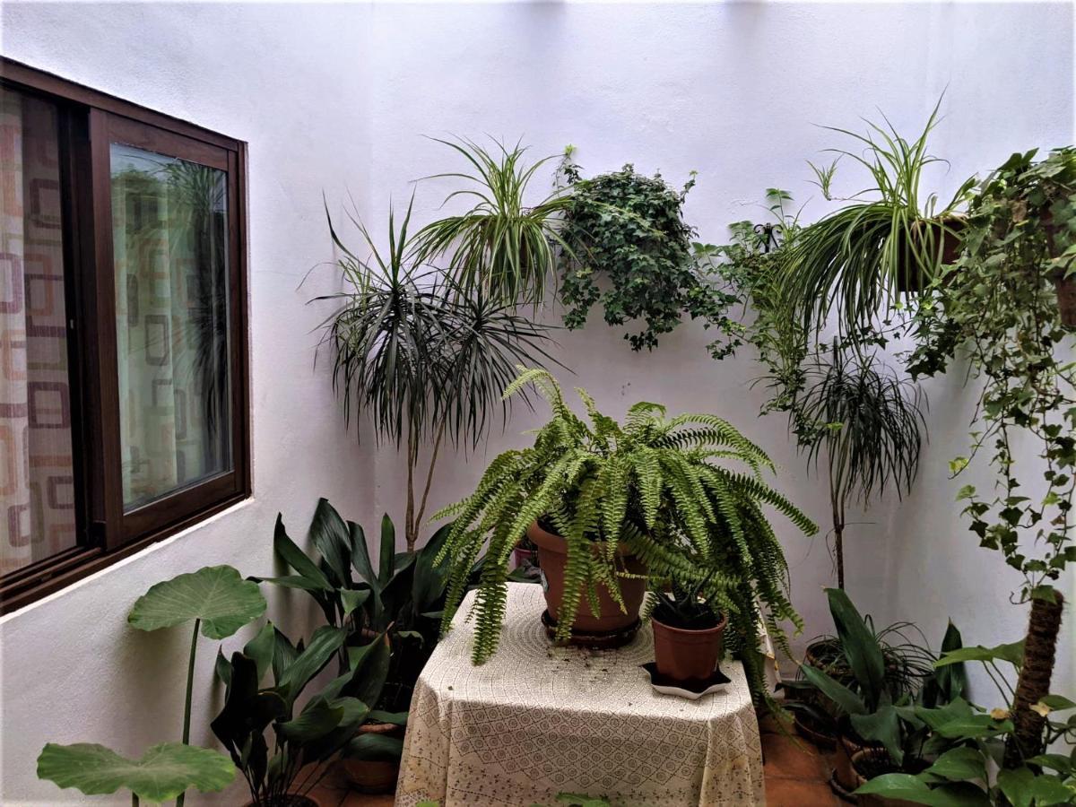 Hostal Moraima Capileira Zewnętrze zdjęcie
